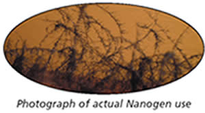 Photo of actual Nanogen use